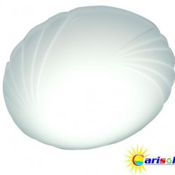 11W Surface Mount Integrated L.E.D Ceiling Light CL-11W-SO2